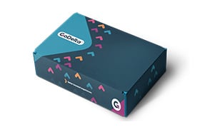 Custom swag boxes for virtual events